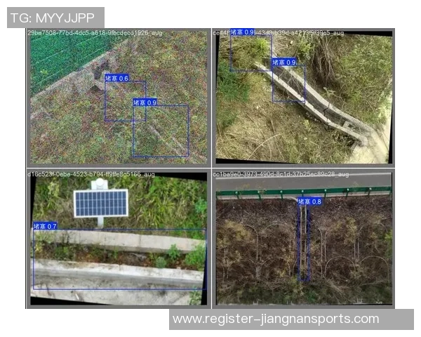 西安网球队耐力对比深度解析与训练策略探讨实时数据